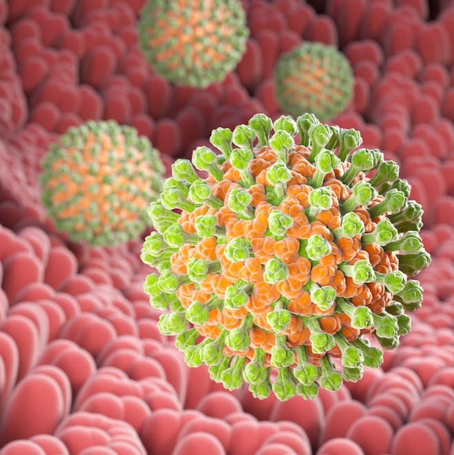 Rotavirus cases surge in NYC area