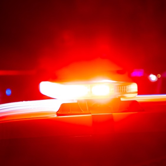 $520K cash, drugs and weapons seized in Bergen County takedown
