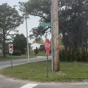 Long Island mom saves child from being attacked by dog