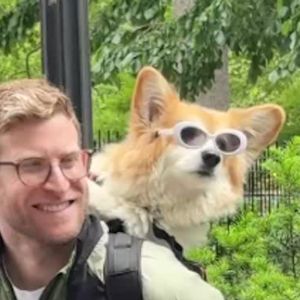 Council Members and animal advocates rally for SCOOP Act to address dog waste