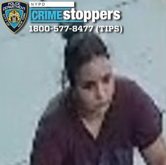 Woman allegedly tries to lure boy, 10, into van in Queens