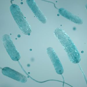 Lawyer says client died from the Legionnaires' disease