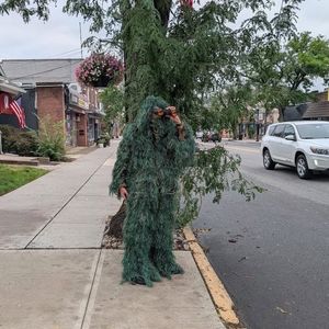 Cop disguised as shrub spotted as police in NJ root out distracted drivers