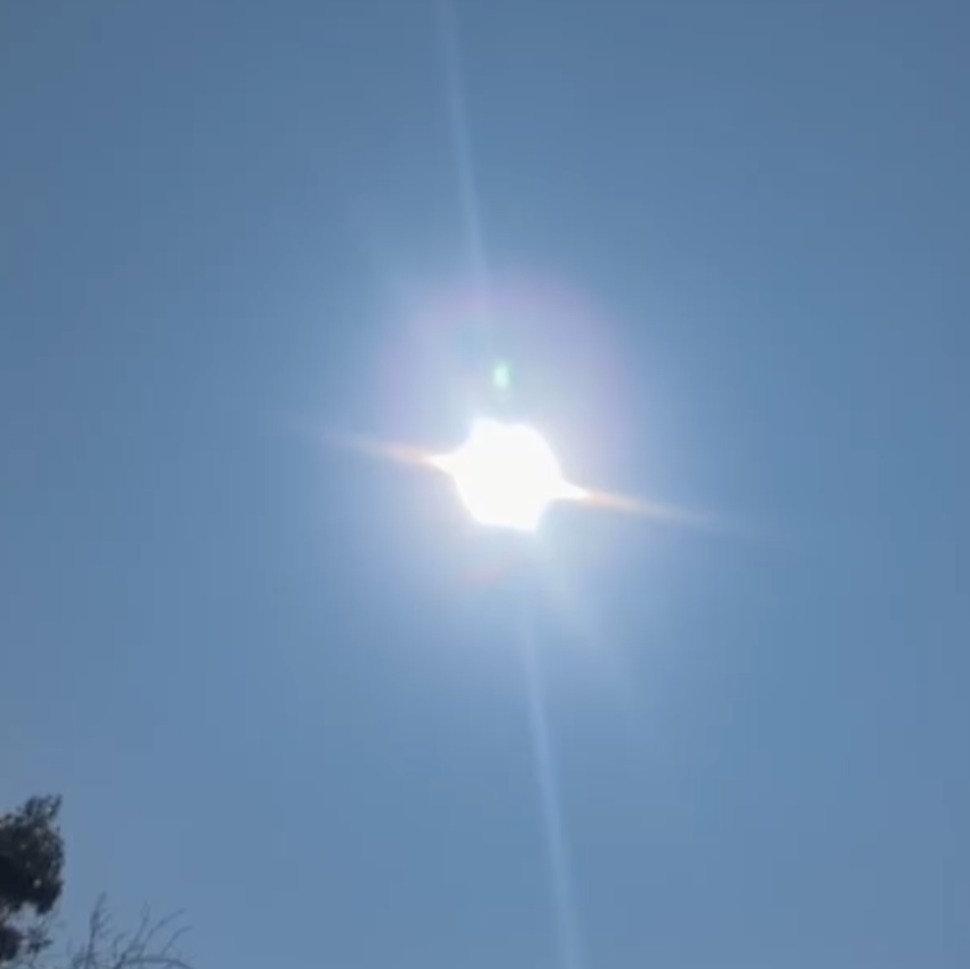 New Yorkers at Prospect Park weigh in on the sights (or lack of) from the solar eclipse