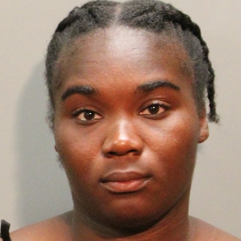 Long Island woman accused of sexually assaulting kids at daycare