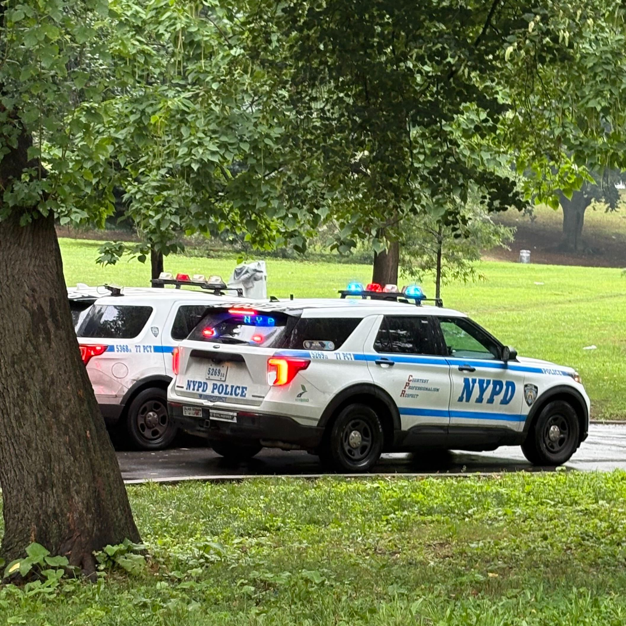 Woman killed in Crown Heights park stabbing