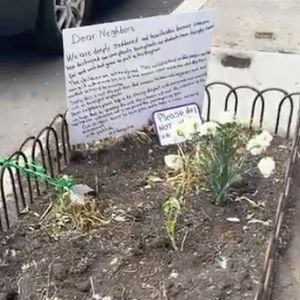 Preschoolers' corn harvest mysteriously chopped down on the Upper East Side