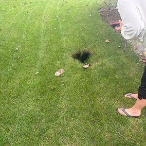 Long Island woman rescued from 8-foot hole in her backyard