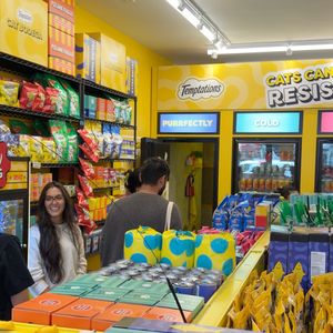 LES pop-up celebrating bodega cats is open this weekend