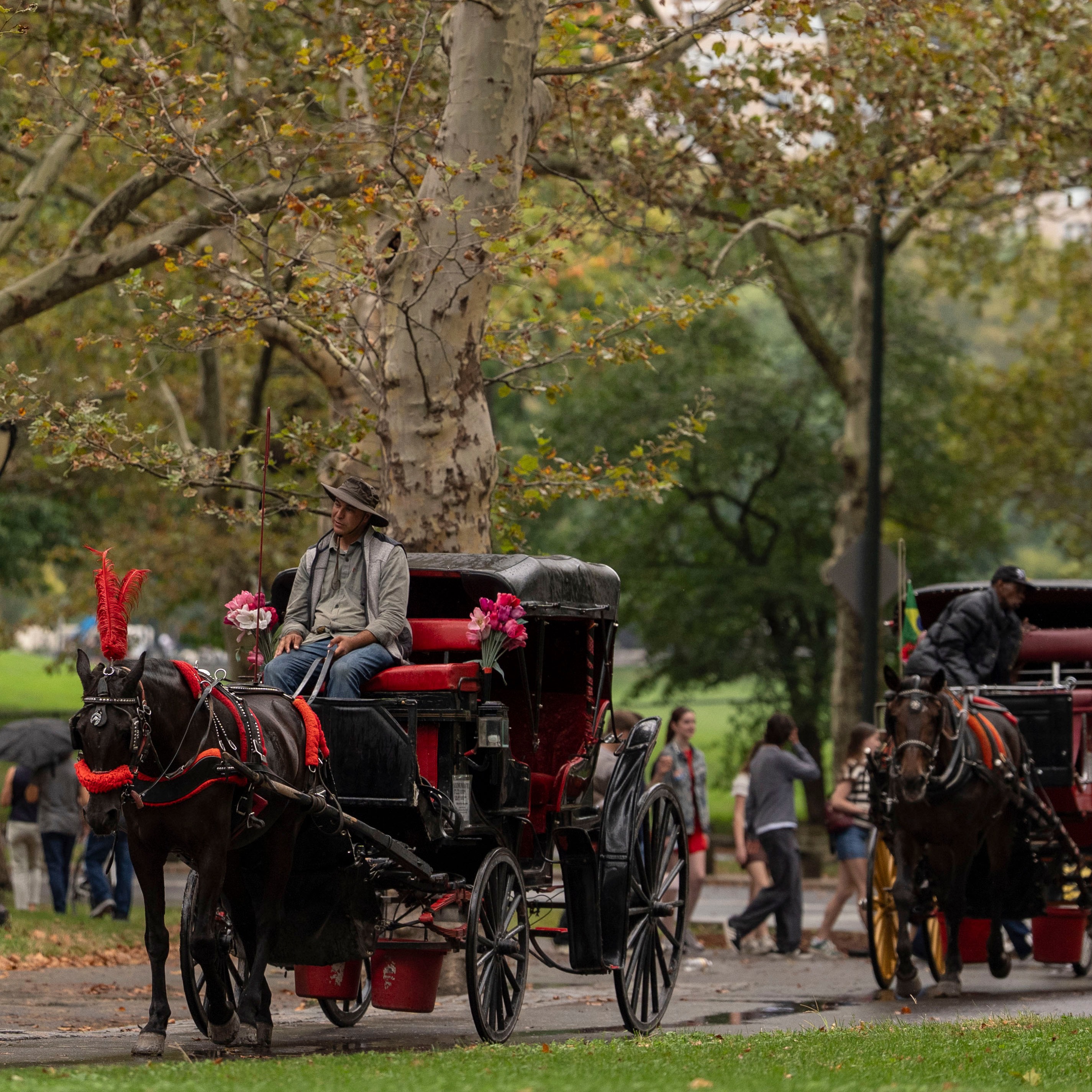 Horse carriage drivers pushing back against City Council over potential ban