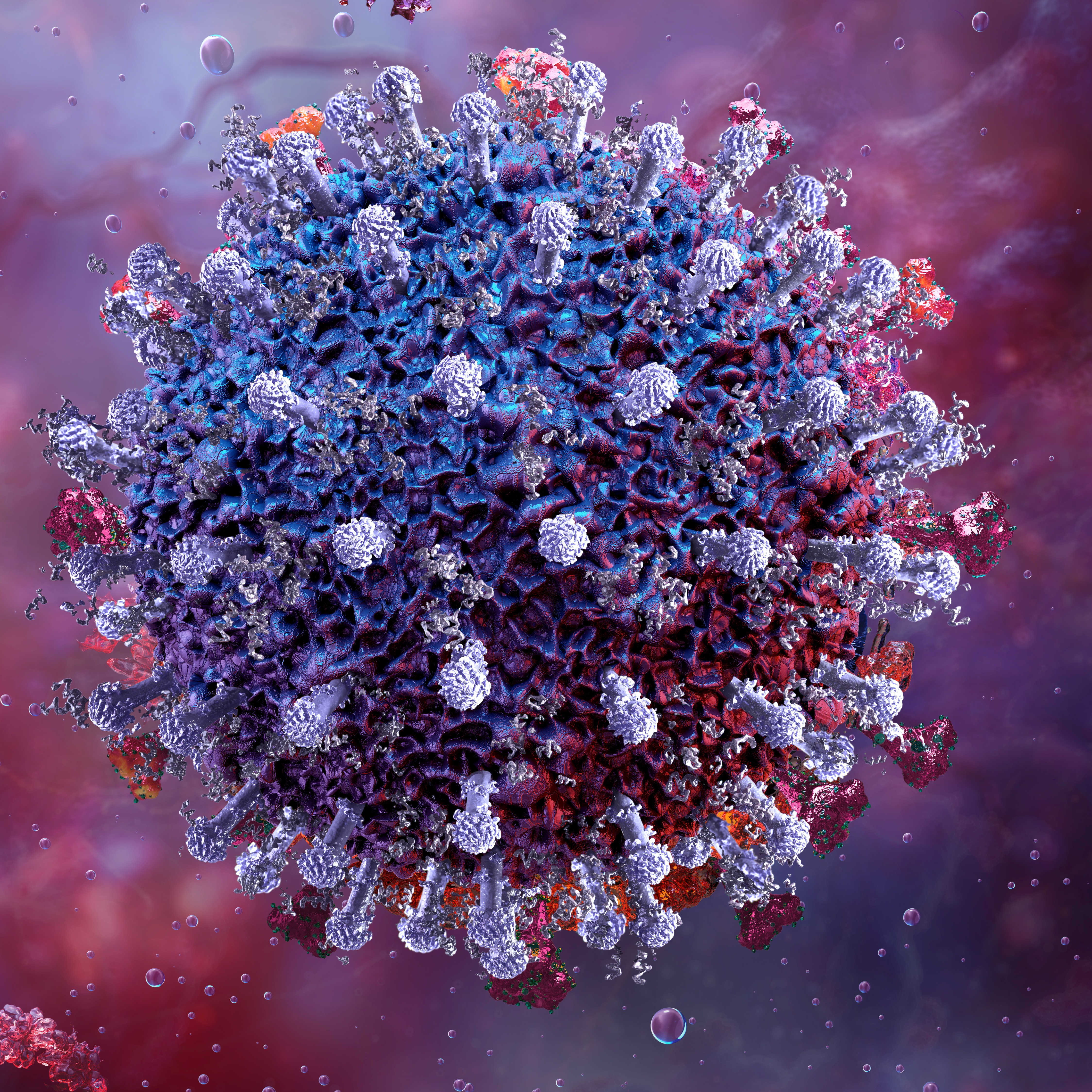 CDC monitors new COVID variant known as Cicada