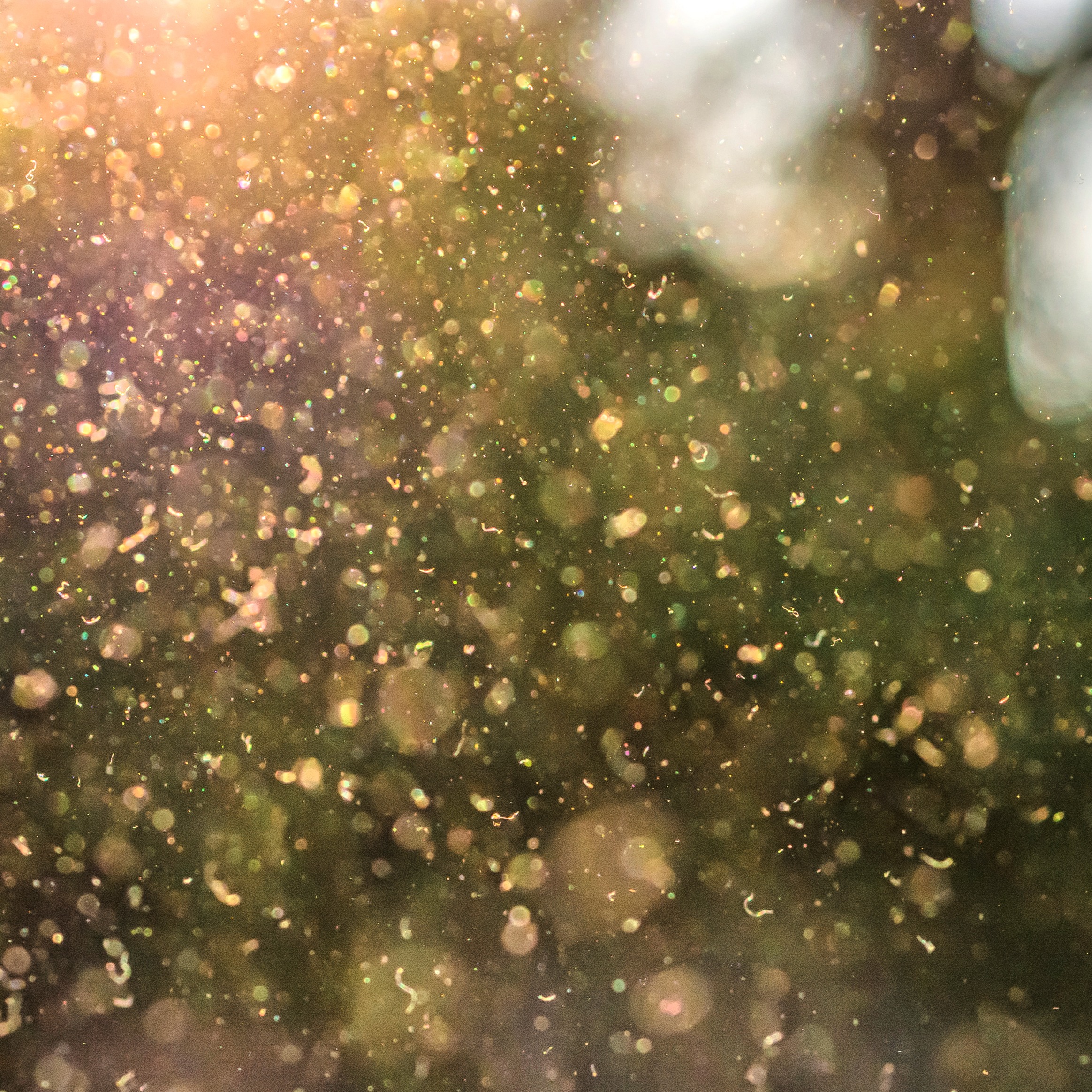 Medical Report: How to protect yourself from pollen as Spring allergy season begins