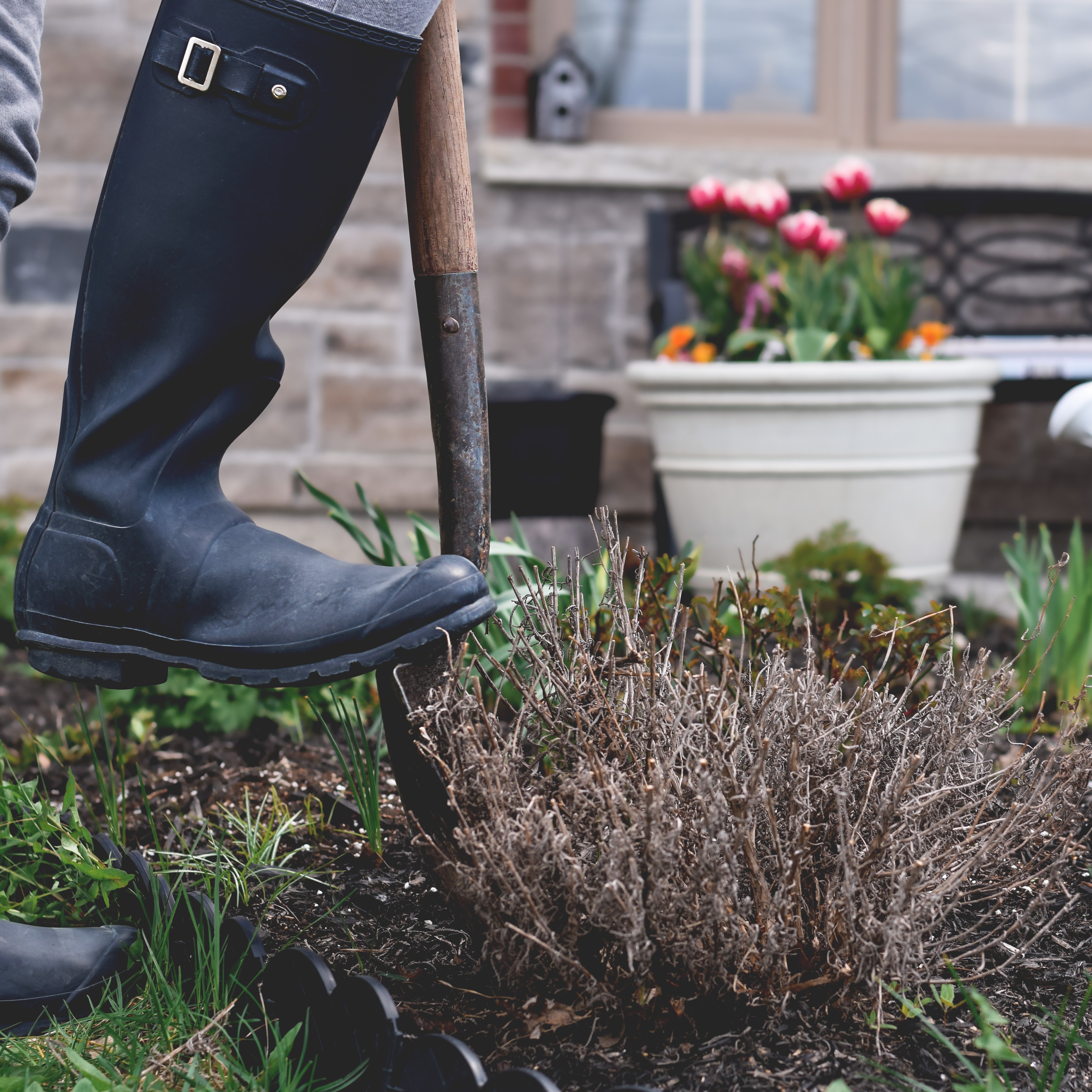 Ahead of gardening season PECO urges homeowners to call 811 before breaking ground