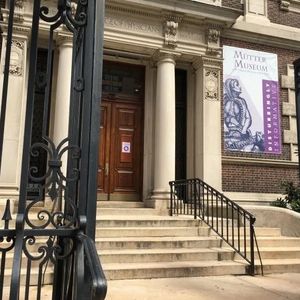 Mütter Museum gears up to host annual Radiant Ball