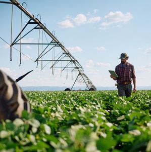 Congress farm bill could cement SNAP benefit cuts, local food banks warn