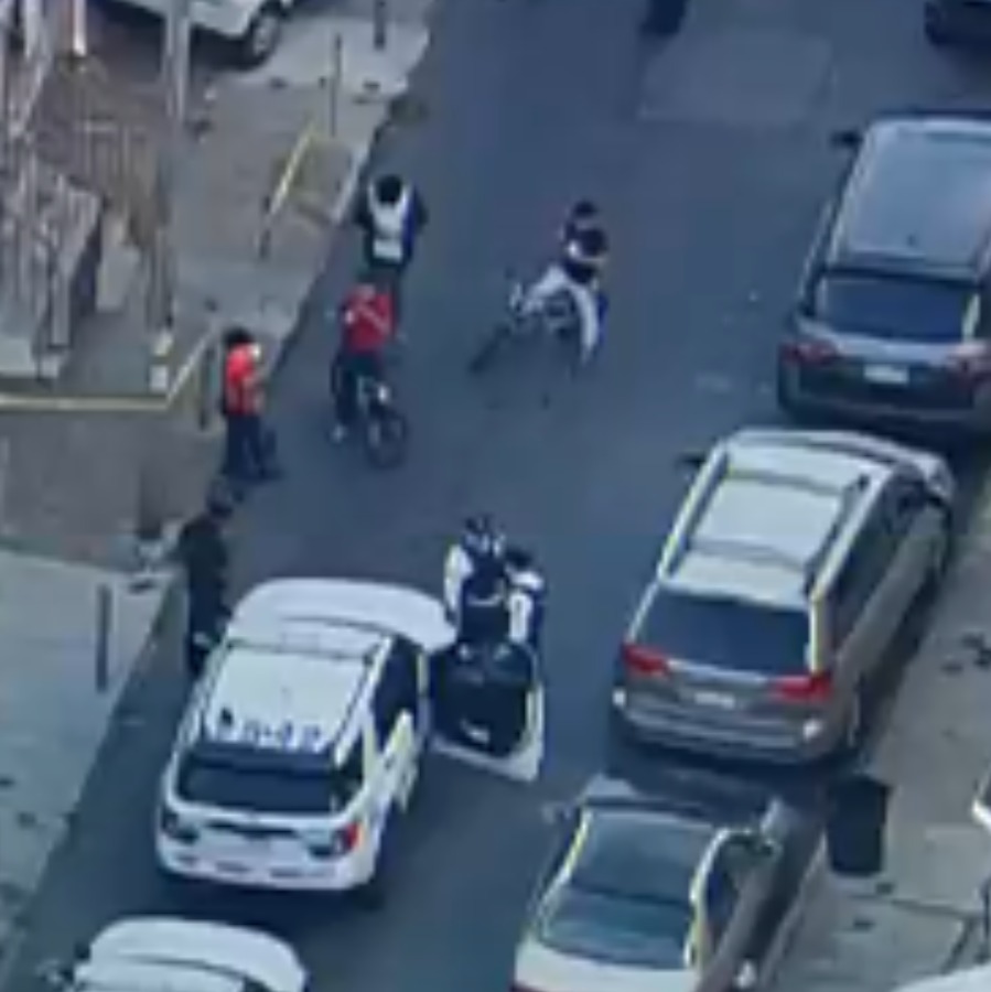 2 kids hospitalized after pit bull attack in Kensington