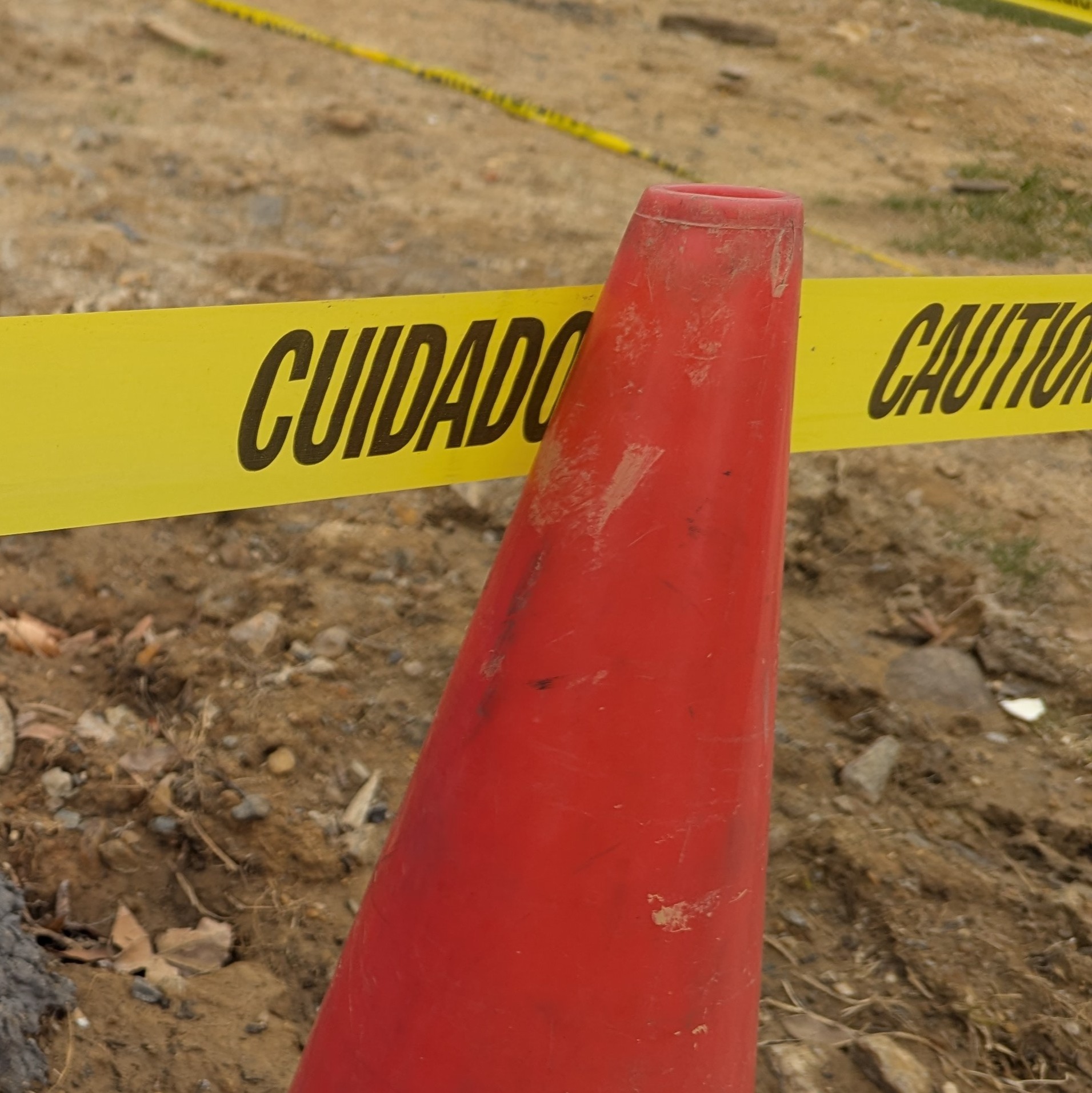 Skeletal remains found in Northeast Philly creek