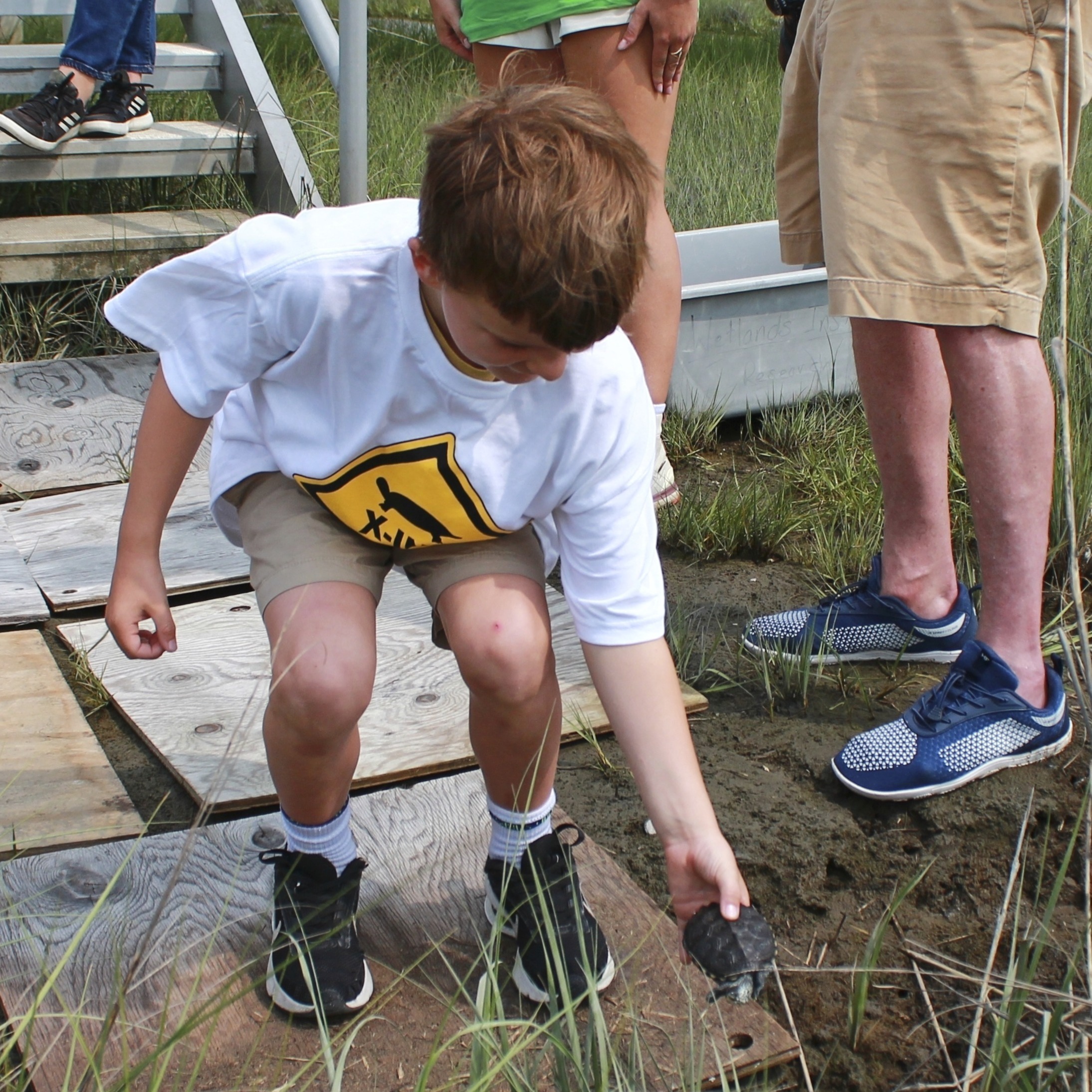 Kindergarteners release young turtles into new habitats in Stone Harbor salt marshes
