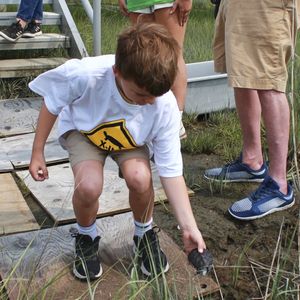 Kindergarteners release young turtles into new habitats in Stone Harbor salt marshes