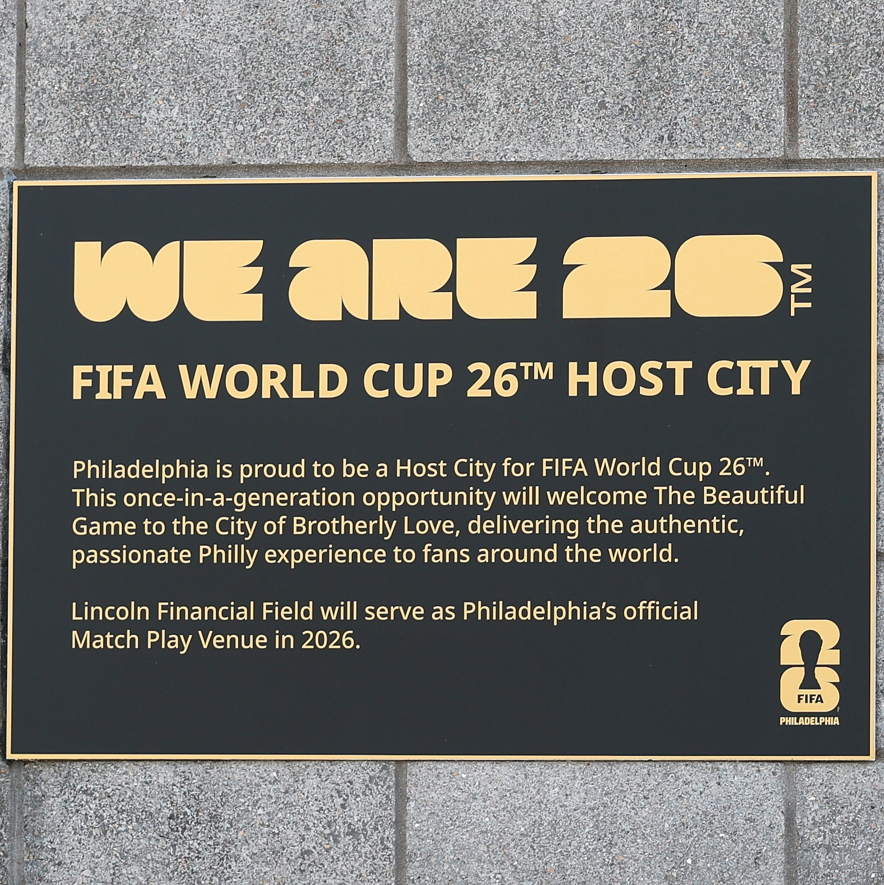 Doctors warn of disease spread ahead of World Cup events