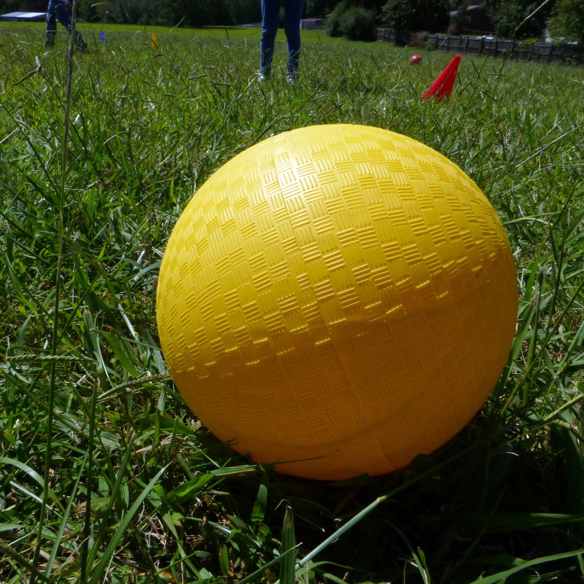 Ultimate dodgeball showdown underway at Ben Franklin High School