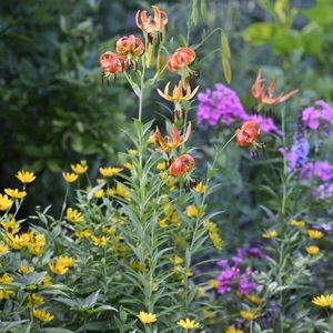 Historic Main Line property to be preserved as public garden space