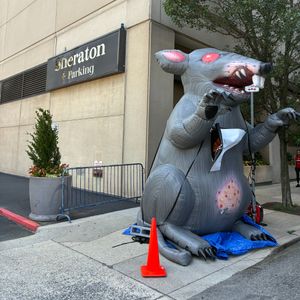 Sheraton Philadelphia Downtown workers on strike