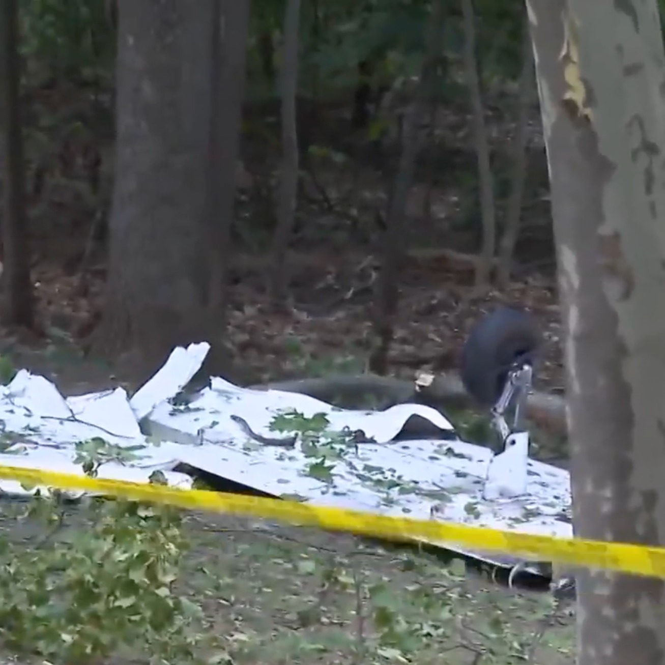 Single-engine plane that took off from Jersey Shore crashes in Maryland, killing 3