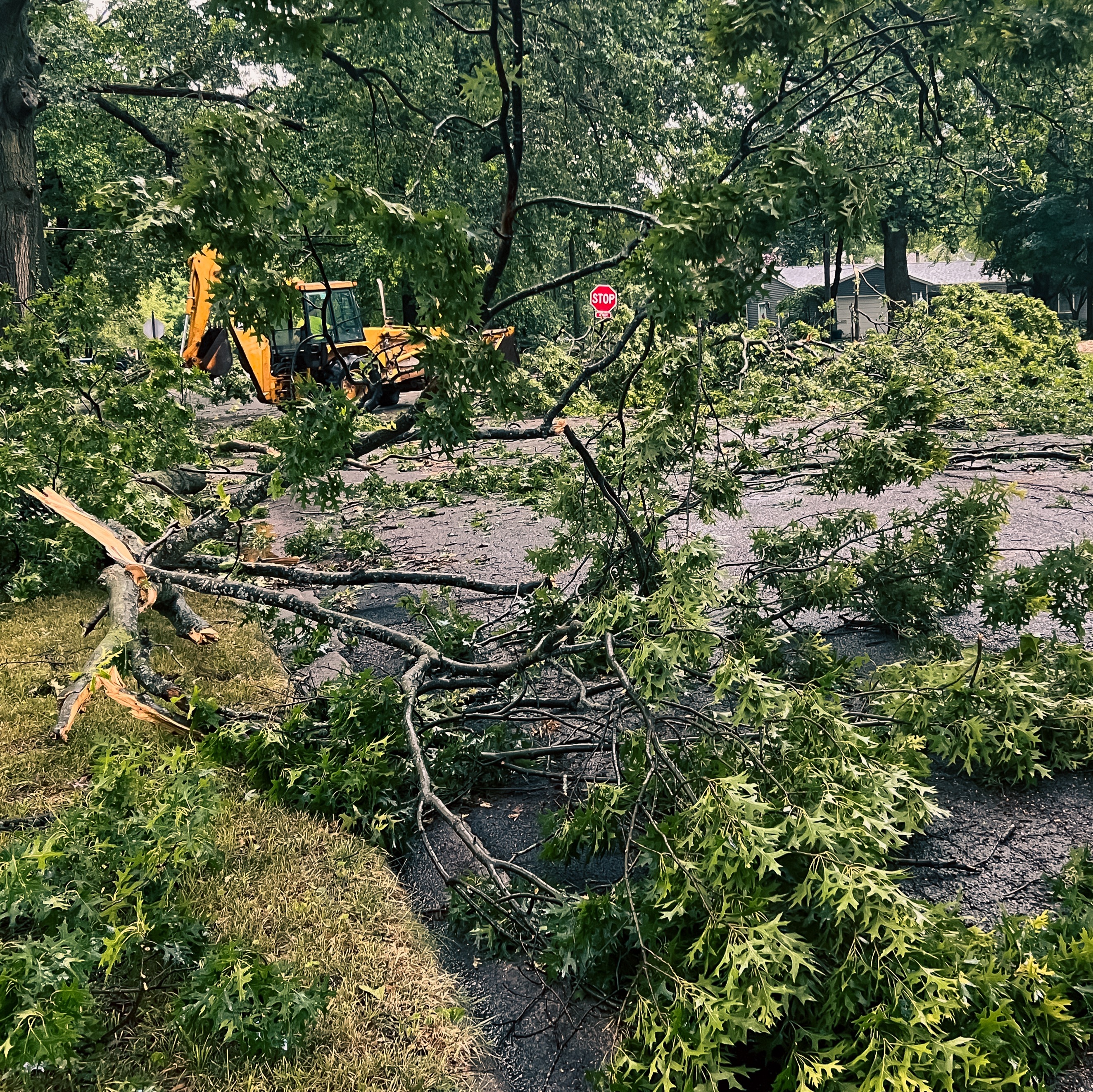 Severe weather brings downed trees and wires in Chester County