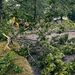 Severe weather brings downed trees and wires in Chester County