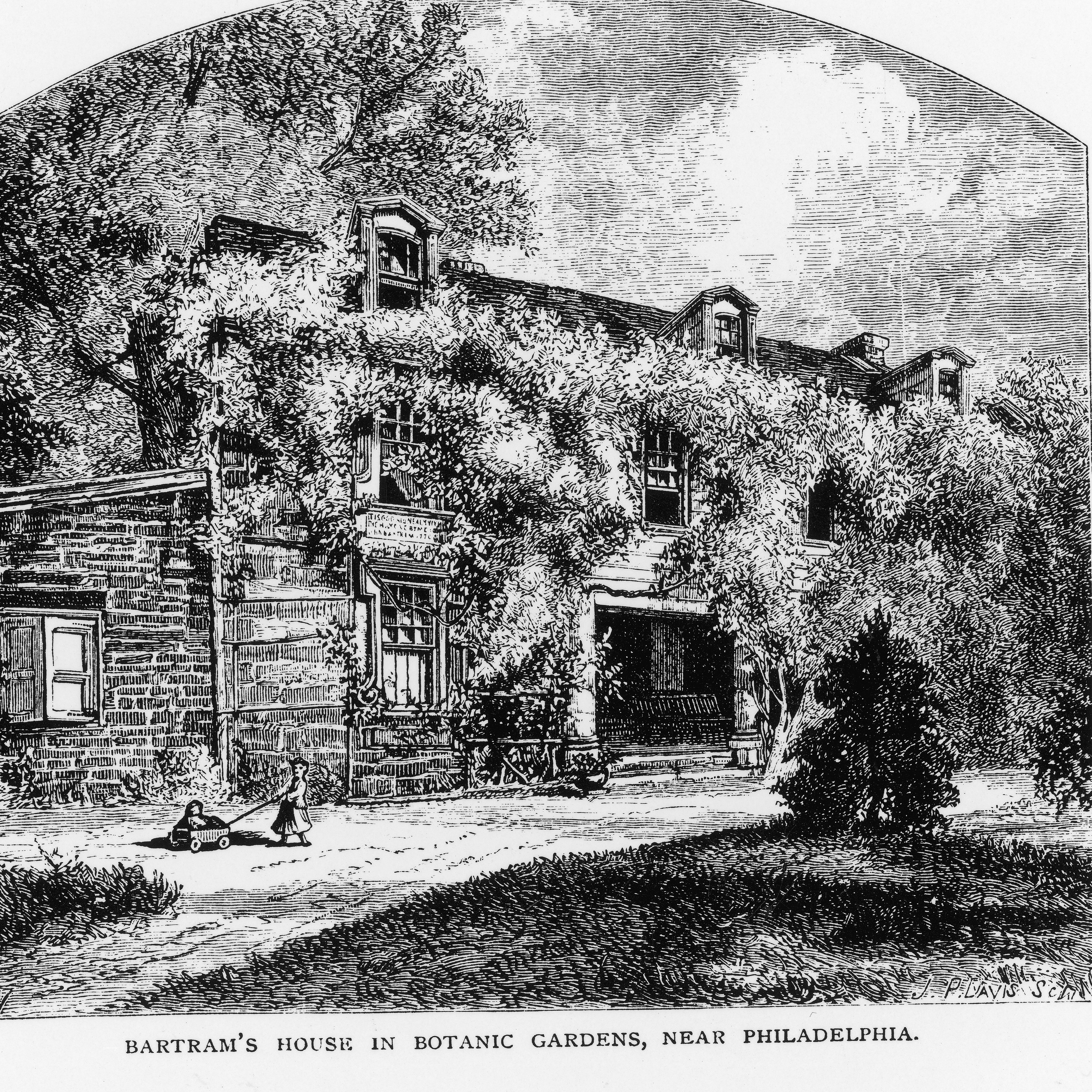 Philly Voices: John Bartram, the father of American botany