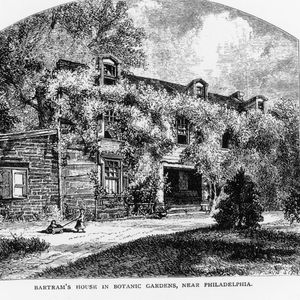 Philly Voices: John Bartram, the father of American botany