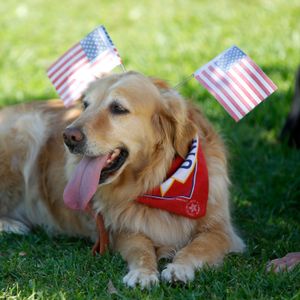 Patriotic Pet Parade returns to Betsy Ross House for Independence Day