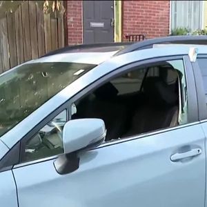 Thieves damage more than 2 dozen cars in Fairmount