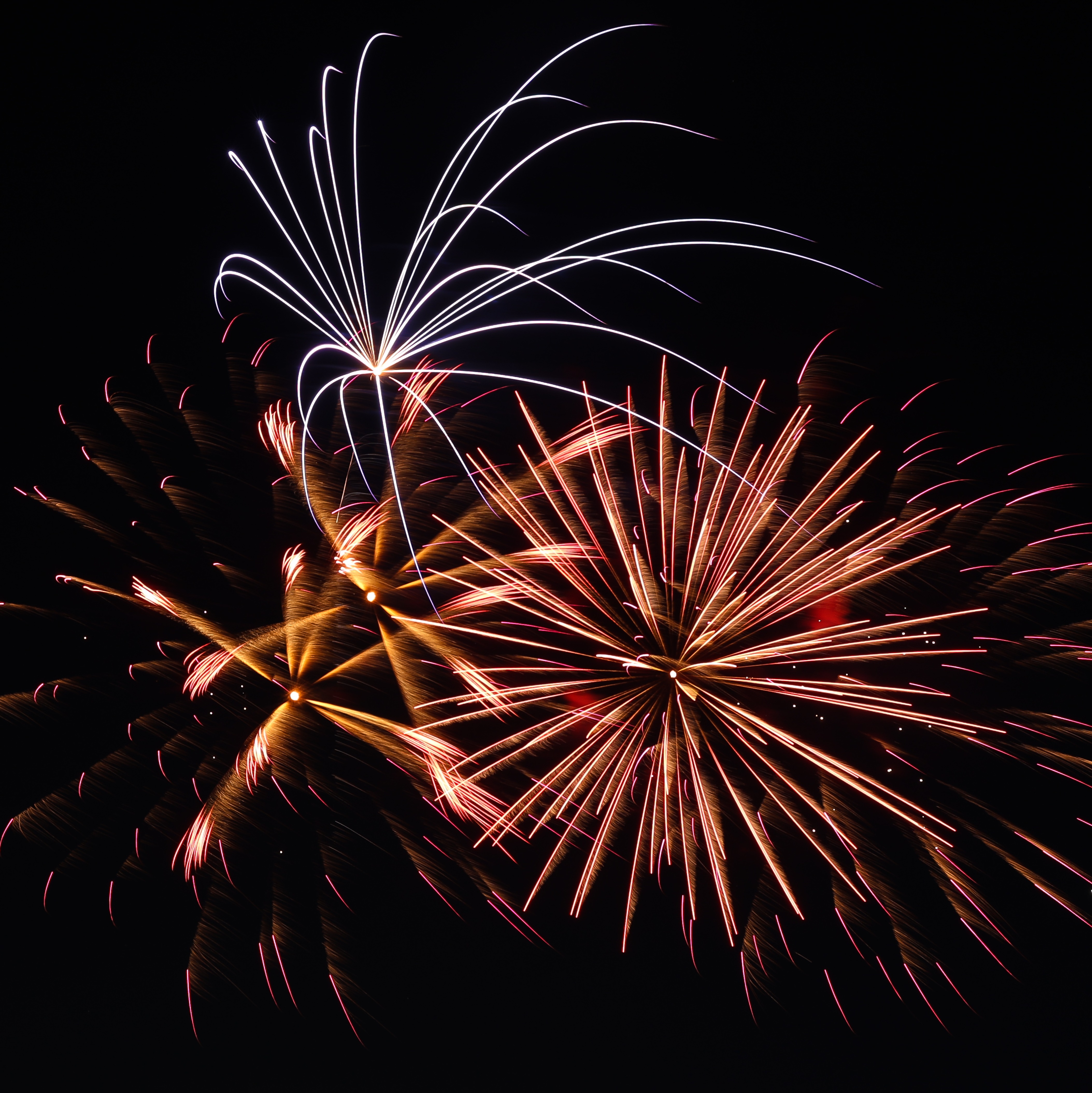 ‘Numerous’ arrests made following Upper Darby fireworks show