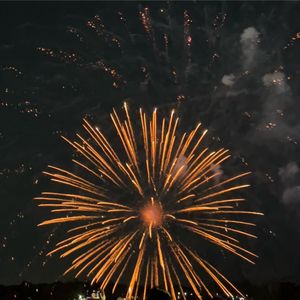 Fireworks thrown into crowd during Delco July 4th display