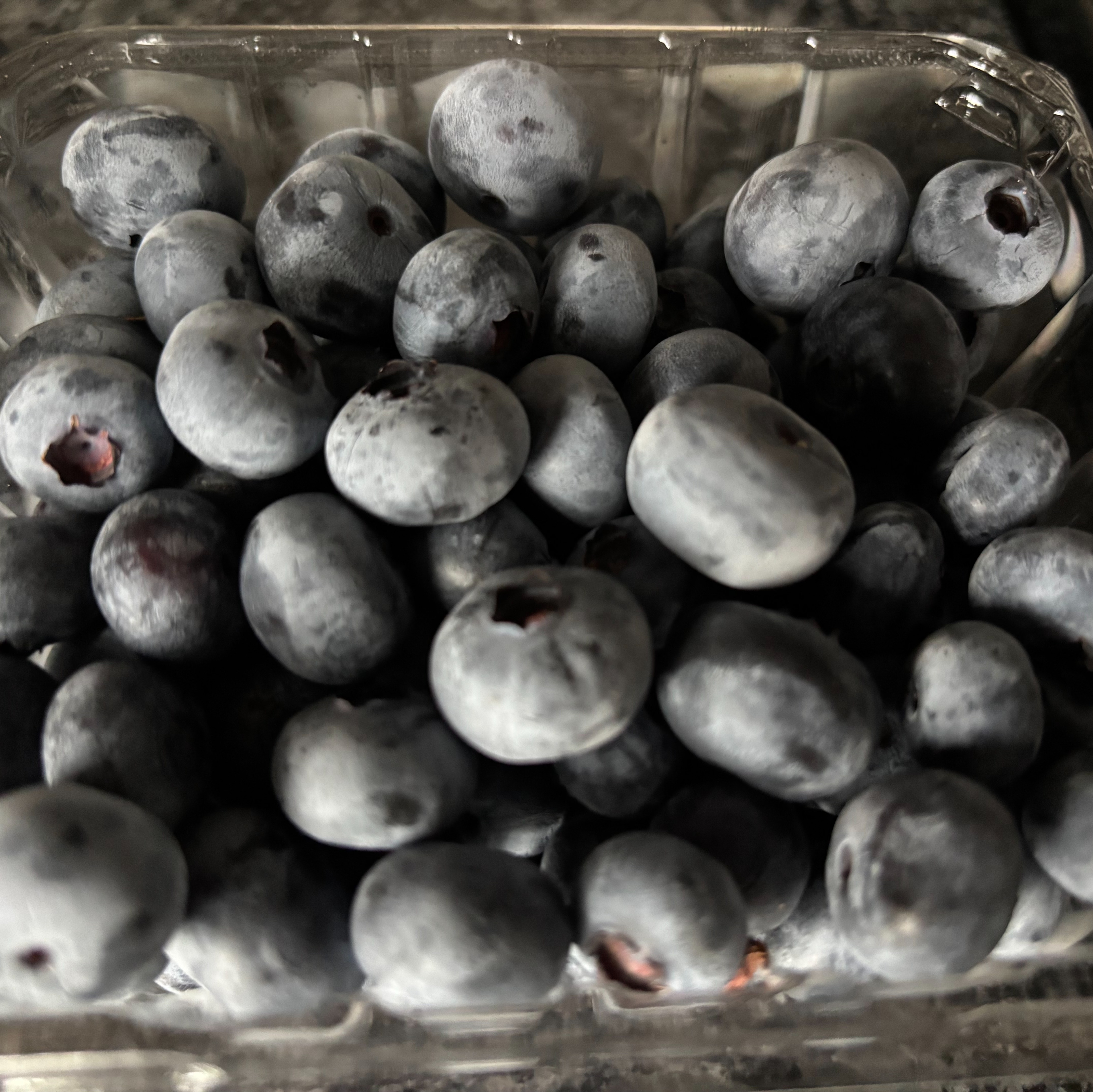 New Jersey to give away blueberries despite spring frost shrinking this year’s crop