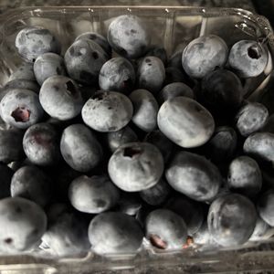 New Jersey to give away blueberries despite spring frost shrinking this year’s crop