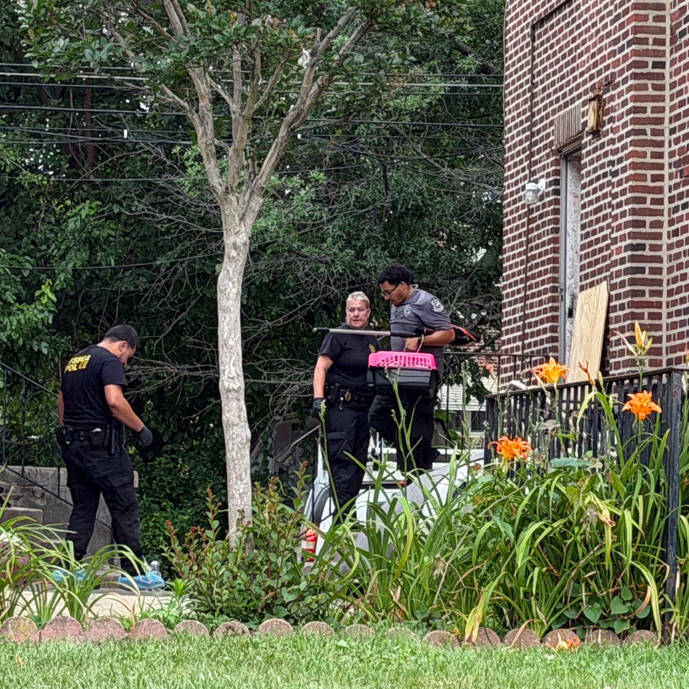 Children and animals removed from 'unsafe and uninhabitable' Northeast Philly home, police say