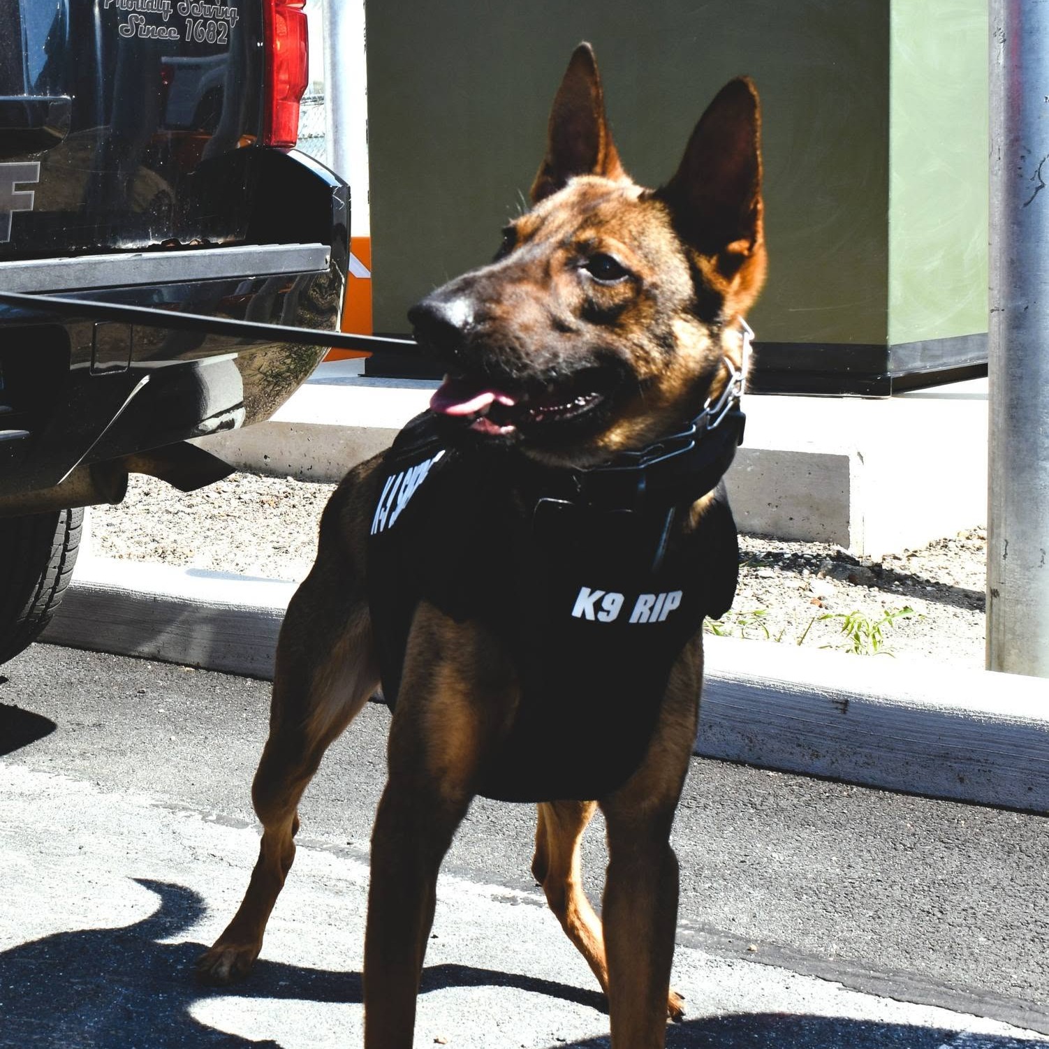 NJ officer charged after two K-9s died of heat stroke inside his car