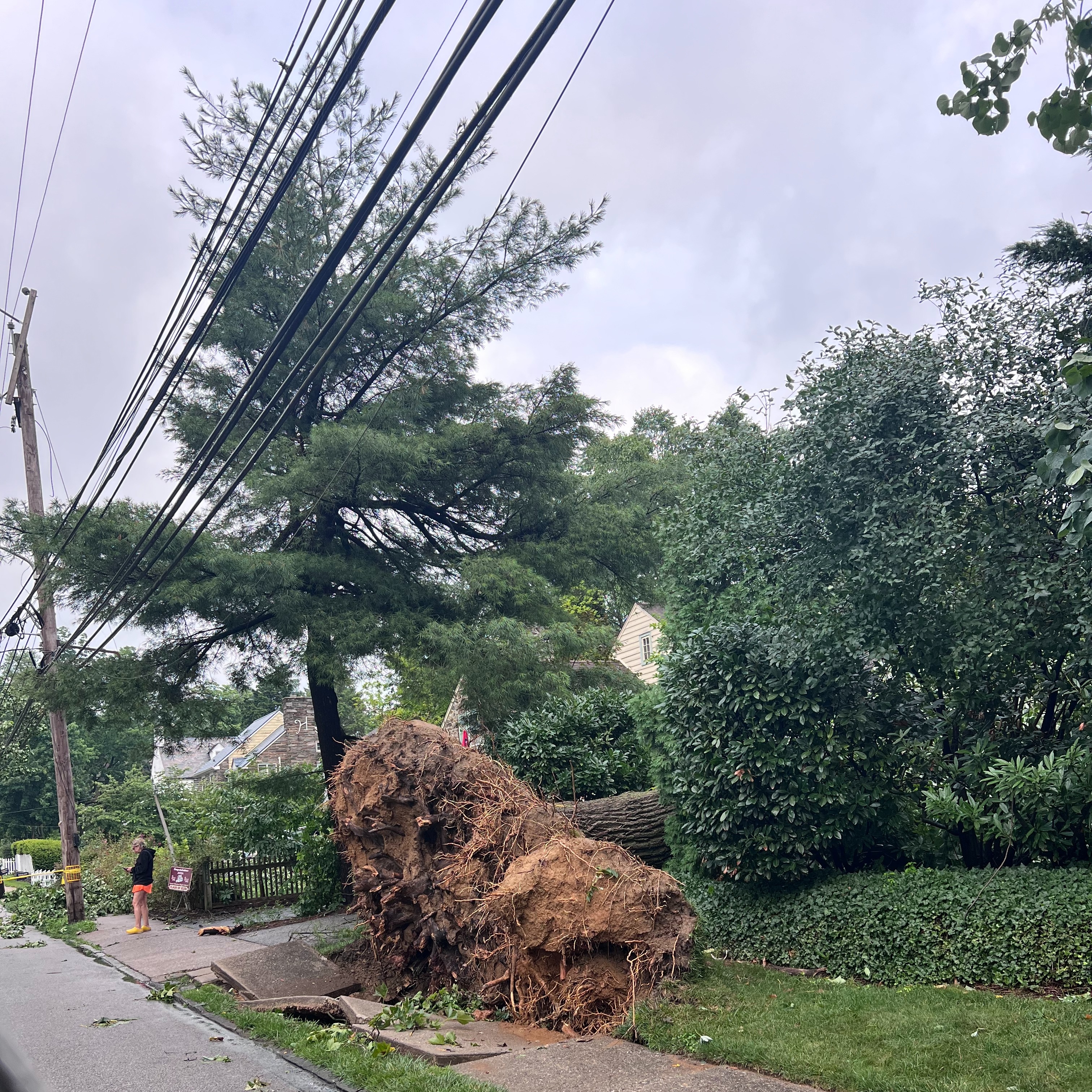 Severe storm rips through the Philly region, knocking out power, downing trees and blowing off roofs
