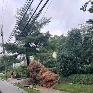 Severe storm rips through the Philly region, knocking out power, downing trees and blowing off roofs
