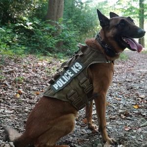 Police Dog Helps Arrest Burglary Suspect Hiding in Newark, Delaware Home - News Directory 3
