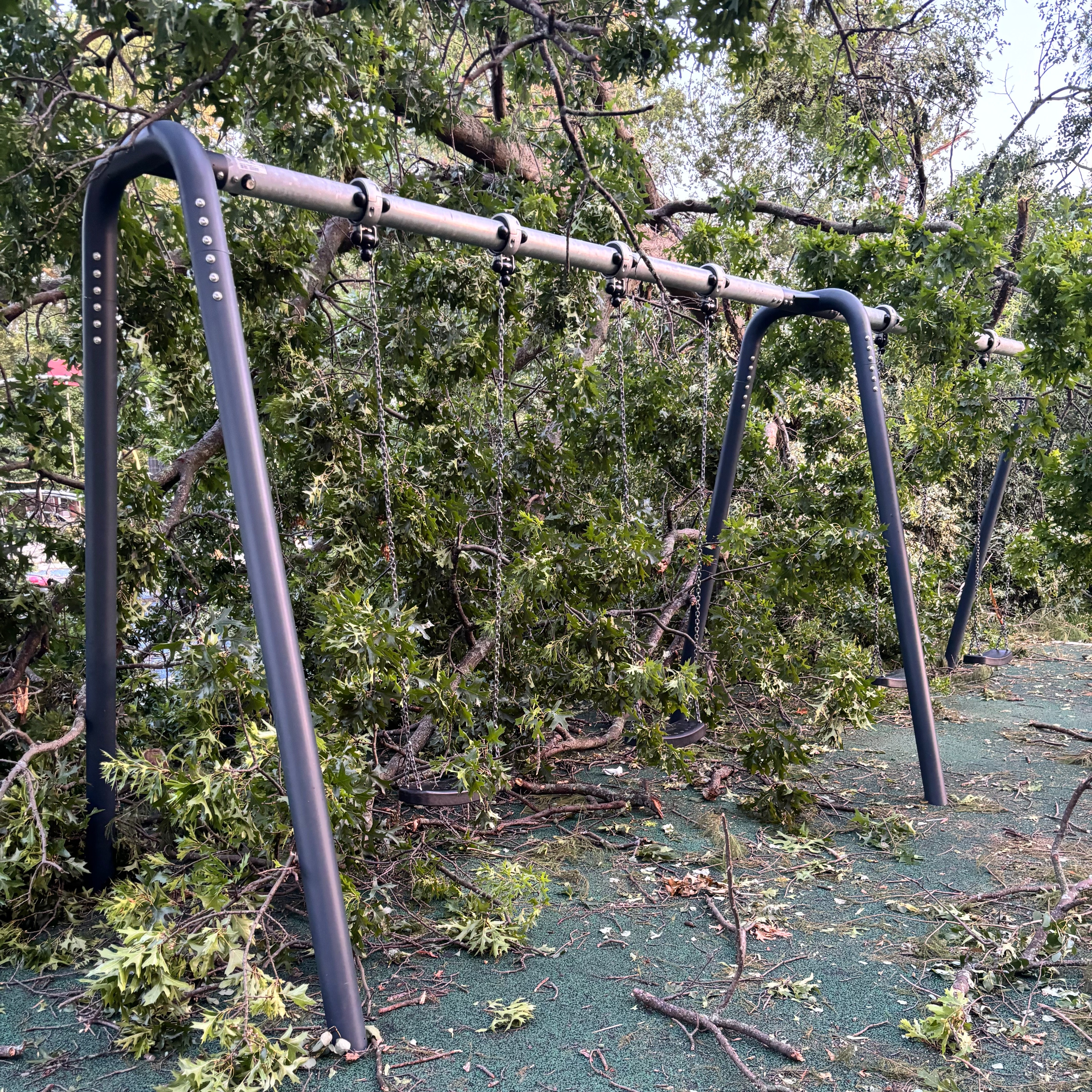 City promises to replace all trees knocked down during microbursts