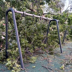City promises to replace all trees knocked down during microbursts