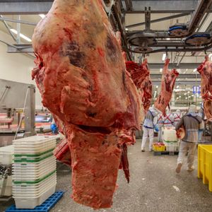 PA to start regulating food processing waste being used as fertilizer