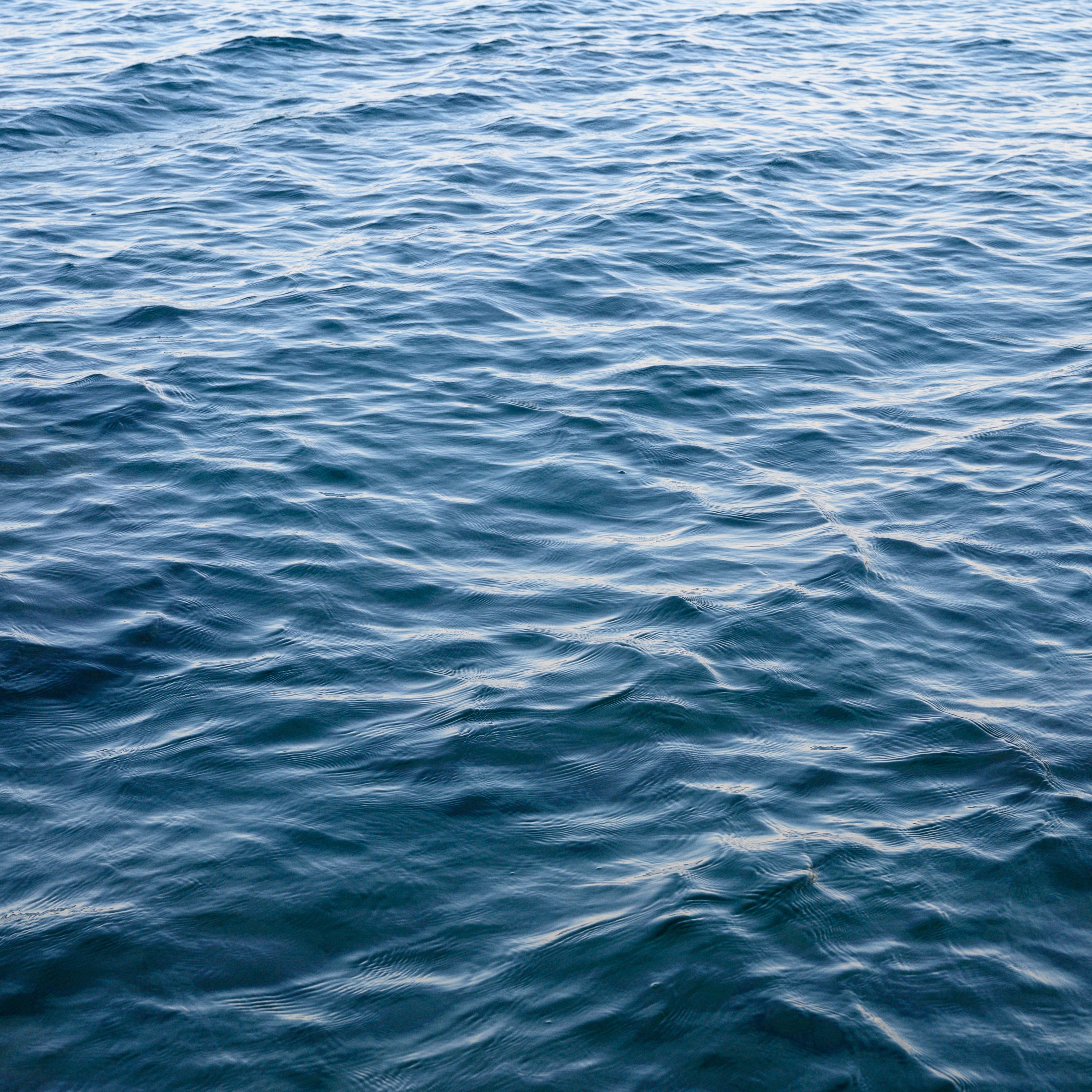 Swimmer dies after being rescued from ocean in Sea Isle City