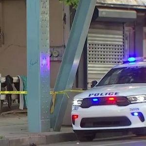 Dog shot, man injured in Kensington, police say