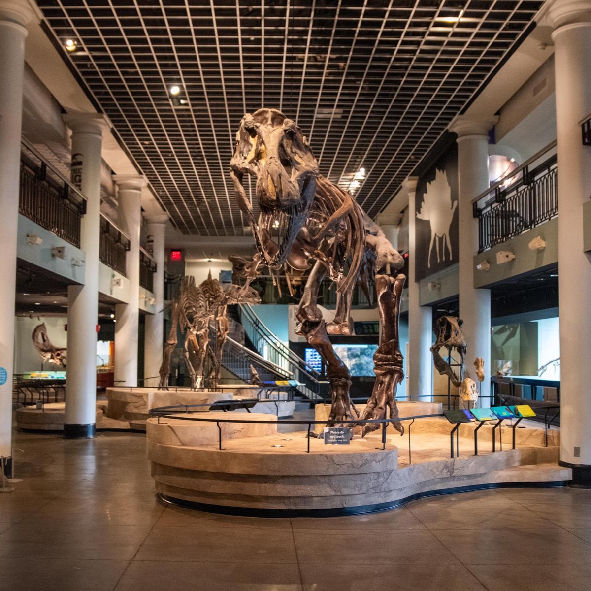 Philly’s Academy of Natural Sciences is the oldest scientific society devoted to natural history in the country