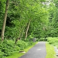 Upper Darby officials halt Mozino Forest development after community pushback